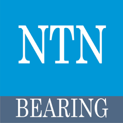 NTN BEARING 